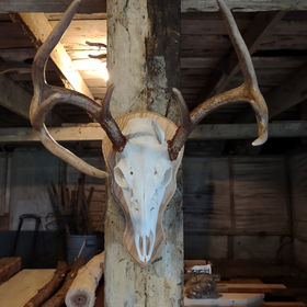 Euro mount on custom oak plaque