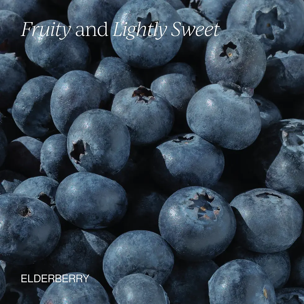 Thumbnail: Elderberry
