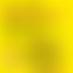 Das NEUE Wunderkerzen Weihnachtsspecial 2023/24