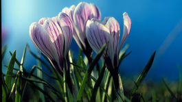 Pastor's Message - April 2023