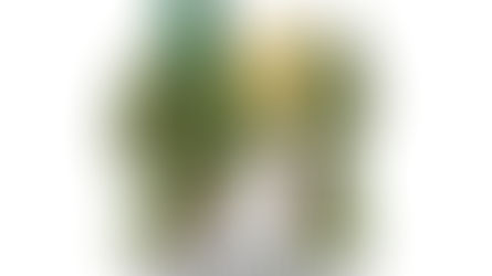 Pastor's Message - February 2026