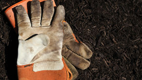 Outdoor Cleanup - Saturday, October 16th - 9:00a.m. to noon