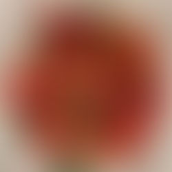 SHIM Garden - Thank You Letter from SHIM