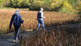 Get Outdoors - Wingfield Pines - September 17, 2023