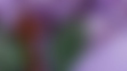 Pastor's Message - March 2025