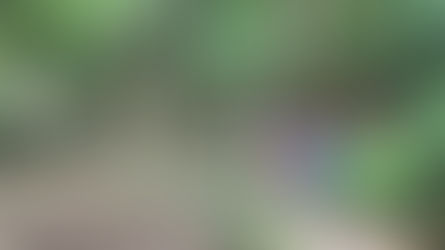 Get Outdoors - Boyce Mayview Park