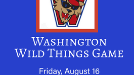 Wild Things Baseball Game