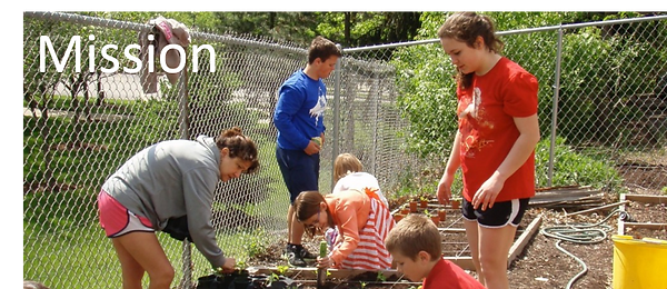Youth of the church working in the garden used to produce peppers for SHIM.