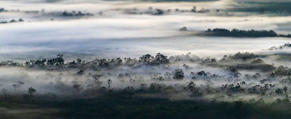 AUSTRALIE - 07-08.2026