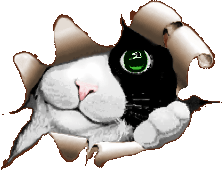 3ADY6NFSDWXA7HHH7HNSX2MBMHJCYPYX.gif