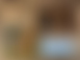 ブルーベリー(無農薬栽培)出してます