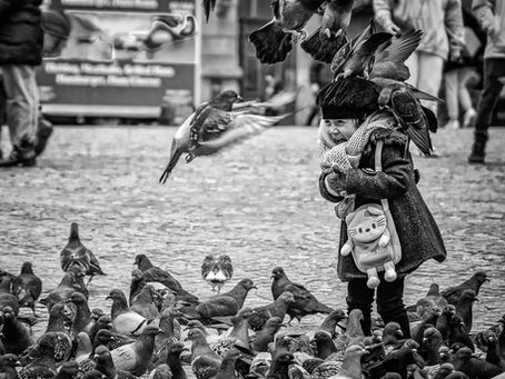 Overcoming a Fear of Pigeons with Hypnotherapy & NLP