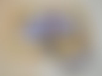 Beauty and The Beast Jr Wrap up | Cast Party