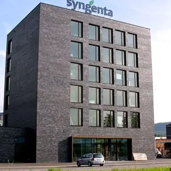 Syngenta Stein