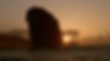 Bildschirmfoto 2025-01-15 um 13.59.03.png