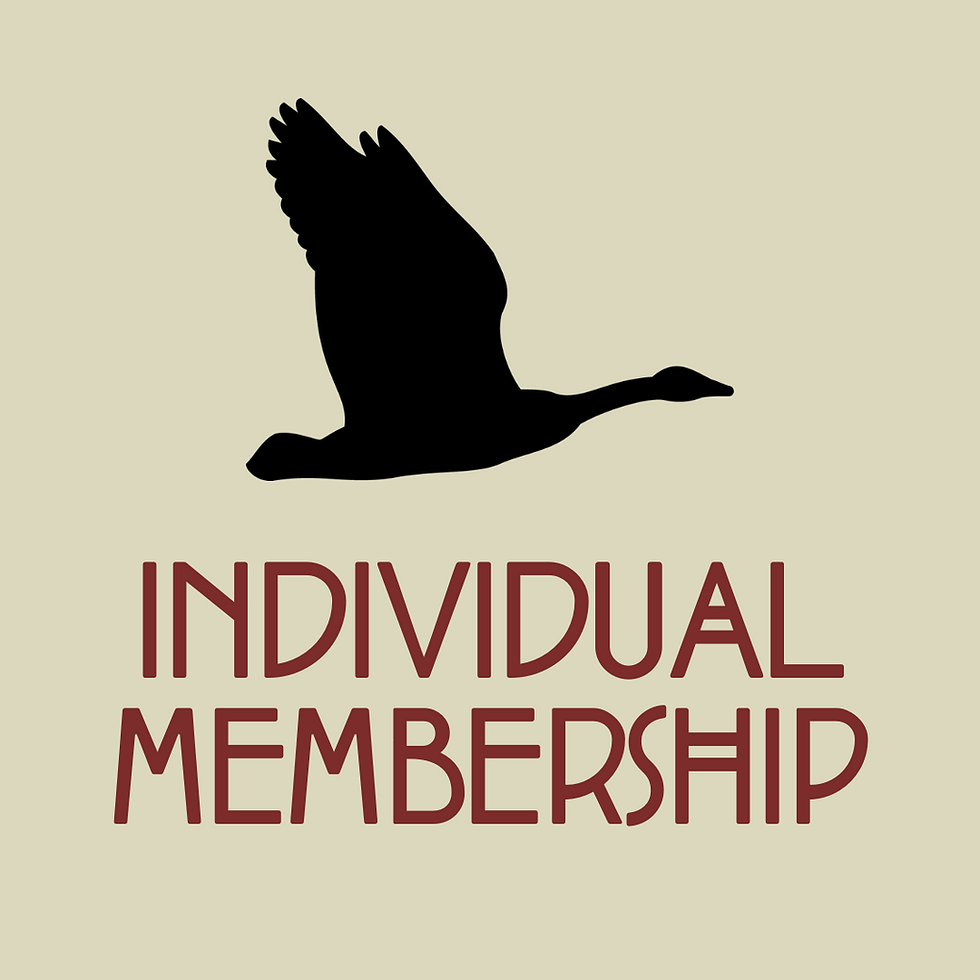 Individual Membership: $20