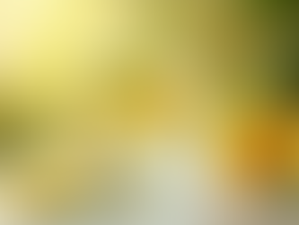 The Art of Essential Living