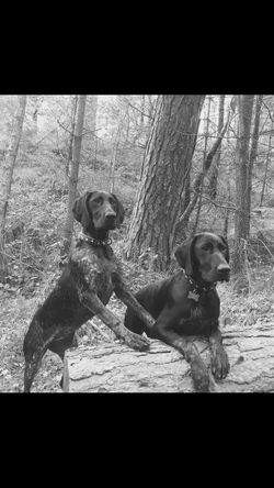 Margo and Mabel