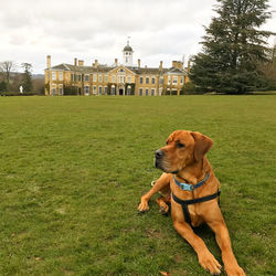 Polesden Lacy