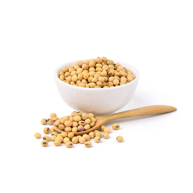 Soya Beans