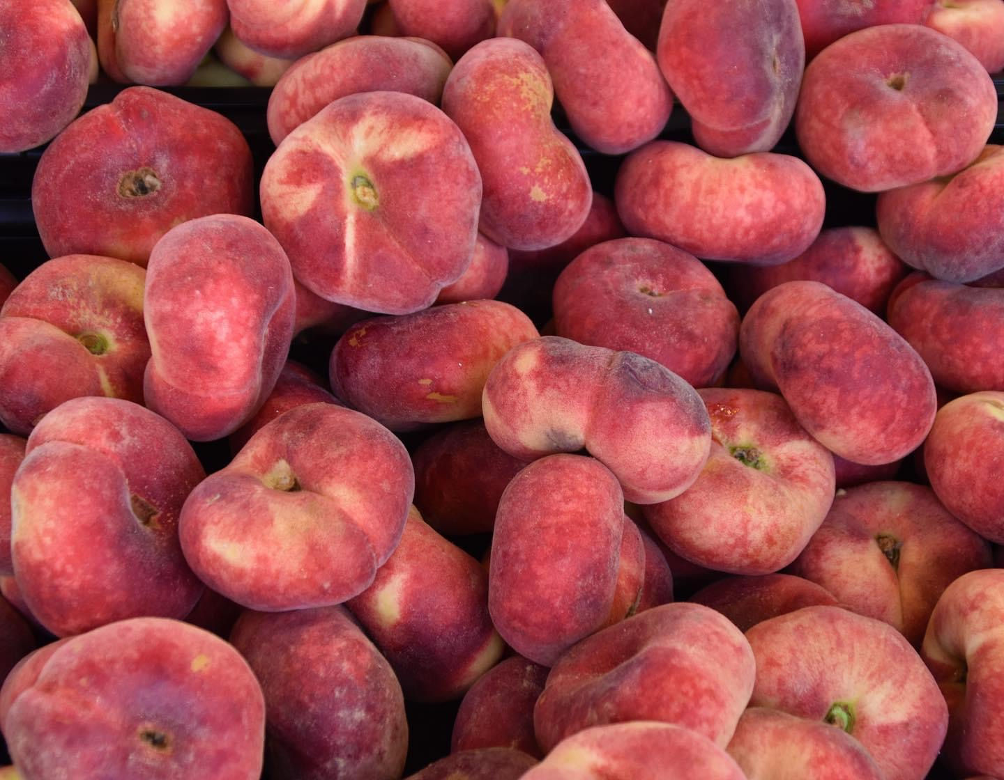 Donut peaches 🍑 