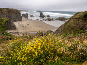 A view of Bandon Beach on the Oregon Coast