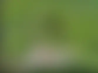 SafeSky and DJI collaboration: Connecting Uncrewed and Crewed Aviation