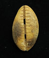 Shang Dynasty Bone Cowrie