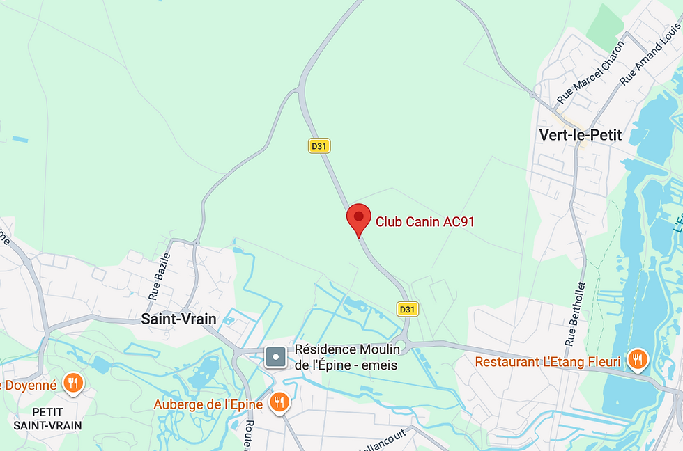 Capture d’écran 2026-07-29 à 18.43.29.png