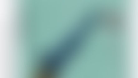 Genç Werther’in Acıları / GOETHE