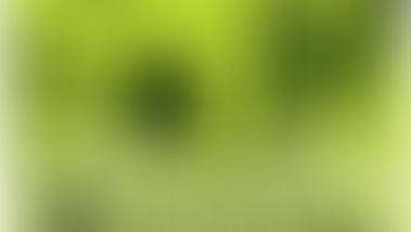 Bilinmeyen Bir Kadının Mektubu / Stefan ZWEIG