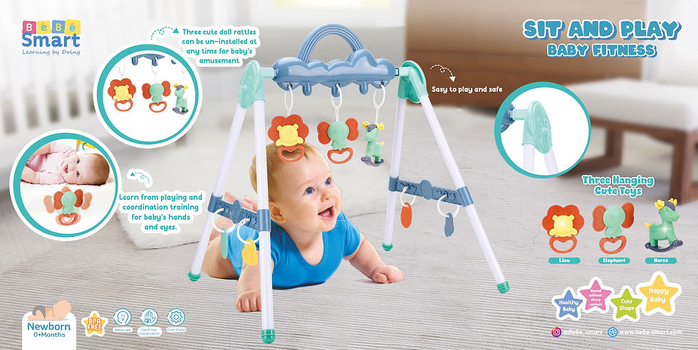 BANNER BBS 25231 - SIT AND PLAY BABY FITNESS.jpg