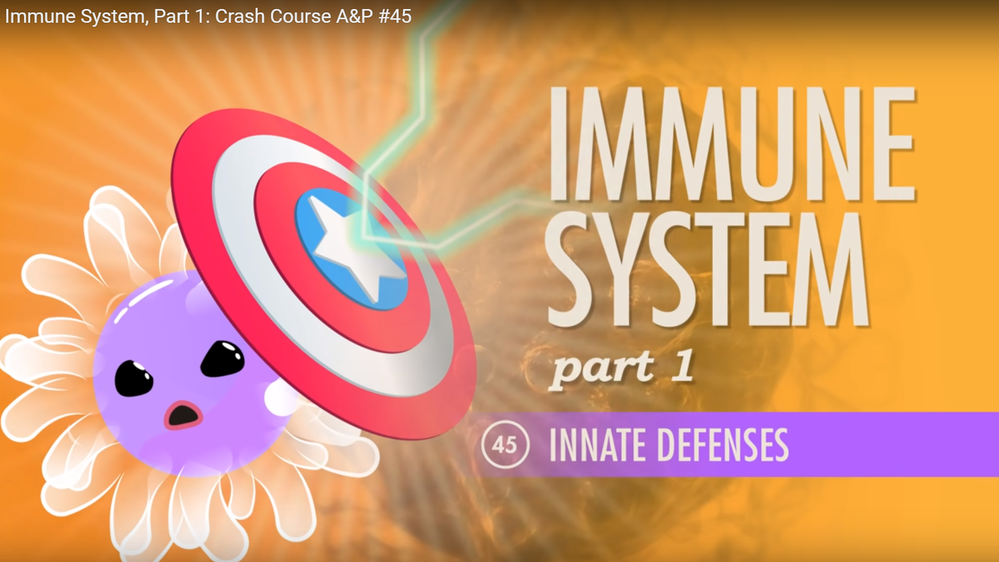 Immune System, Part 1: Crash Course A&P #45