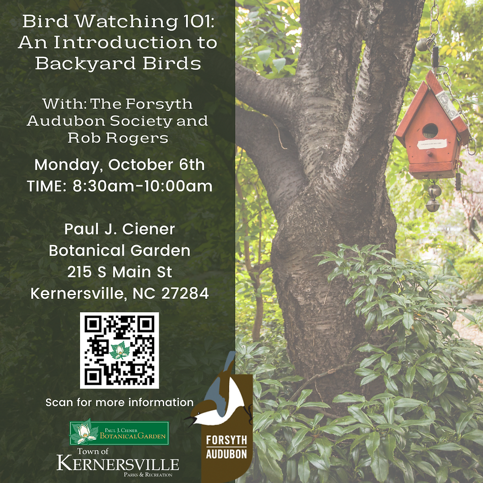 Bird Watching 101: An Introduction to Backyard Birds