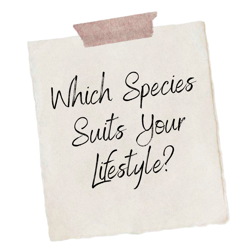 Which Species Suits Your Lifestyle
