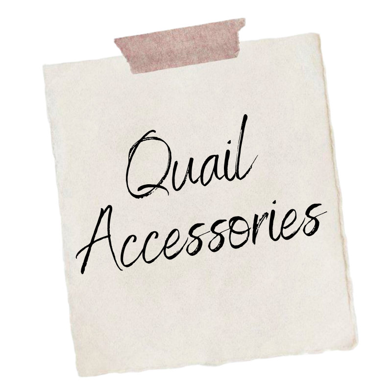 Quail Accessories