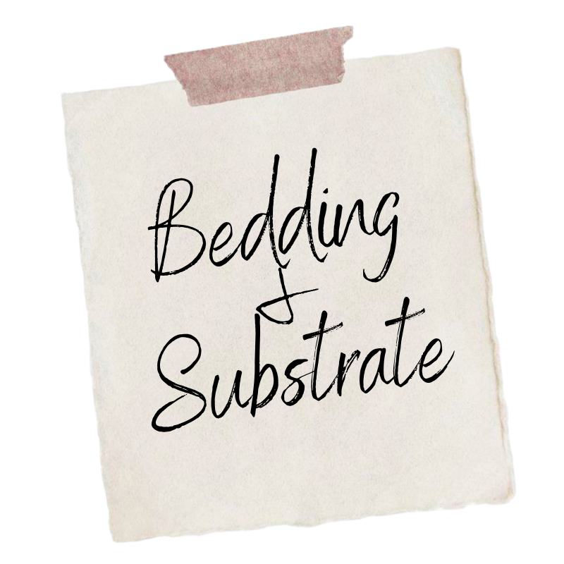 Bedding & Substrate