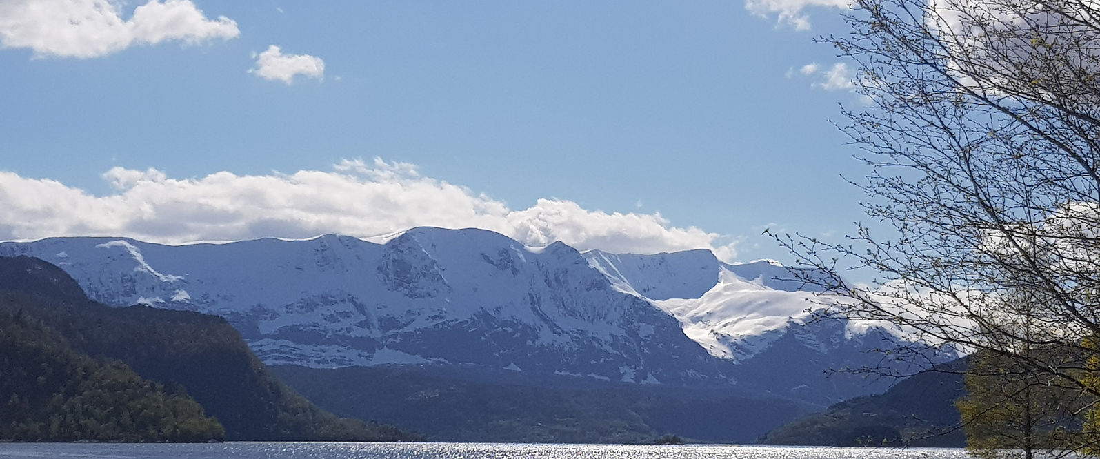 20200519_160214 (002).jpg