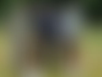 Победы 1-2.08.2020