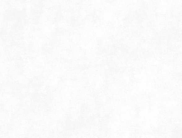 section bg.png