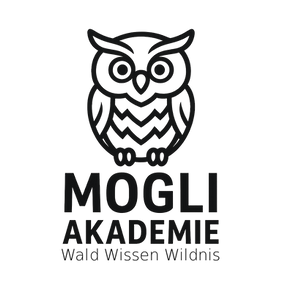 Mogli Akademie Wald wisse wildnis.png