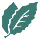 Kräuter