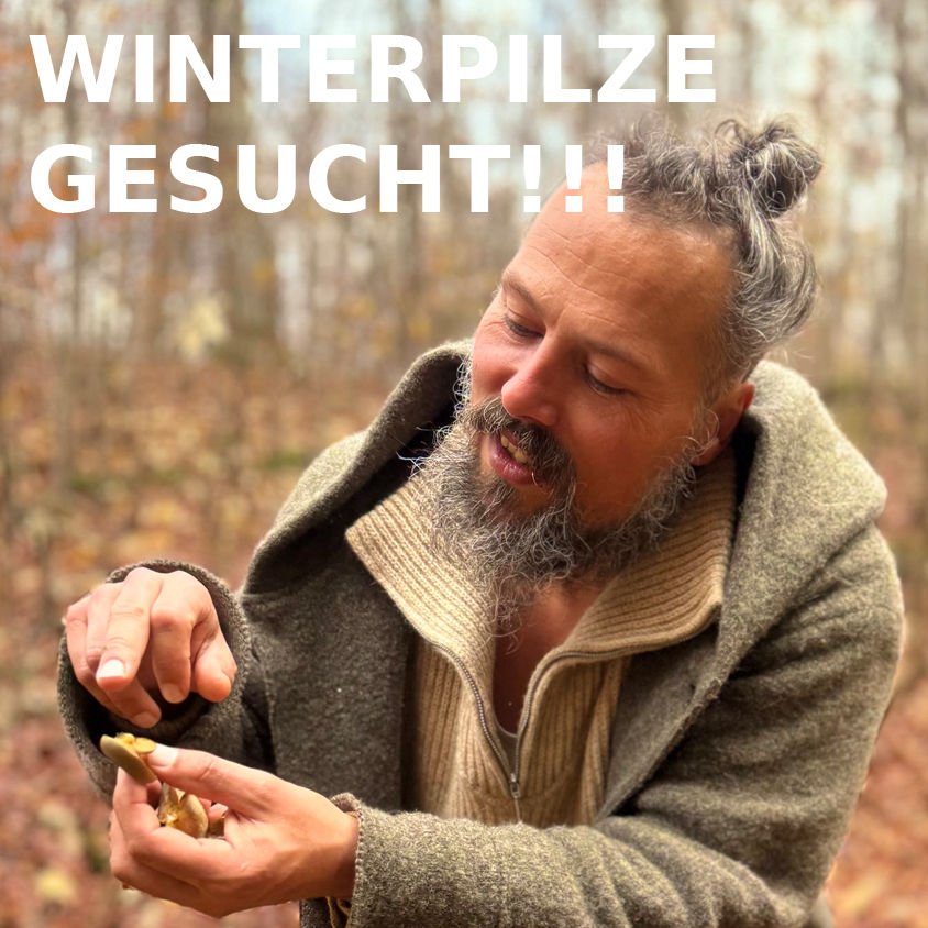 WINTERPILZE & VITALPILZE GESUCHT!!!