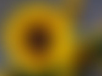 Sonntags-GE-danken 6. September 2026