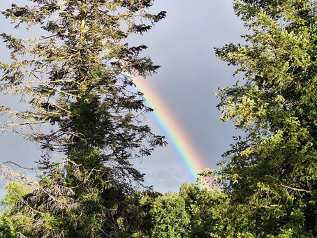 Ein Zeichen am Himmel 🌈