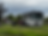 IMG_3369 (1).png