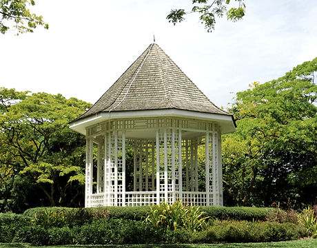 Gazebo Surrounded by Trees