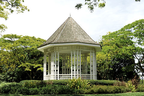 Gazebo Surrounded by Trees