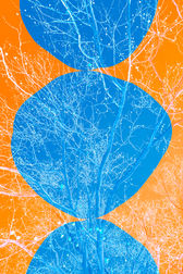 White tree branches crossing a blue circle on an orange background.