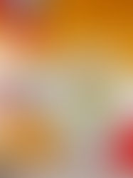 Spicy Fried Egg Sandwich